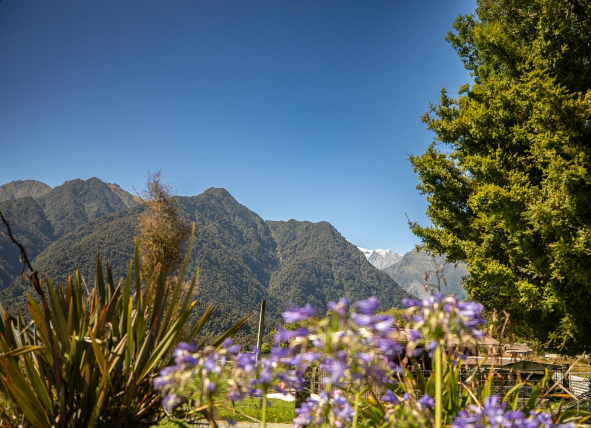 Ropatinis Bed & Breakfast Fox Glacier Exterior photo
