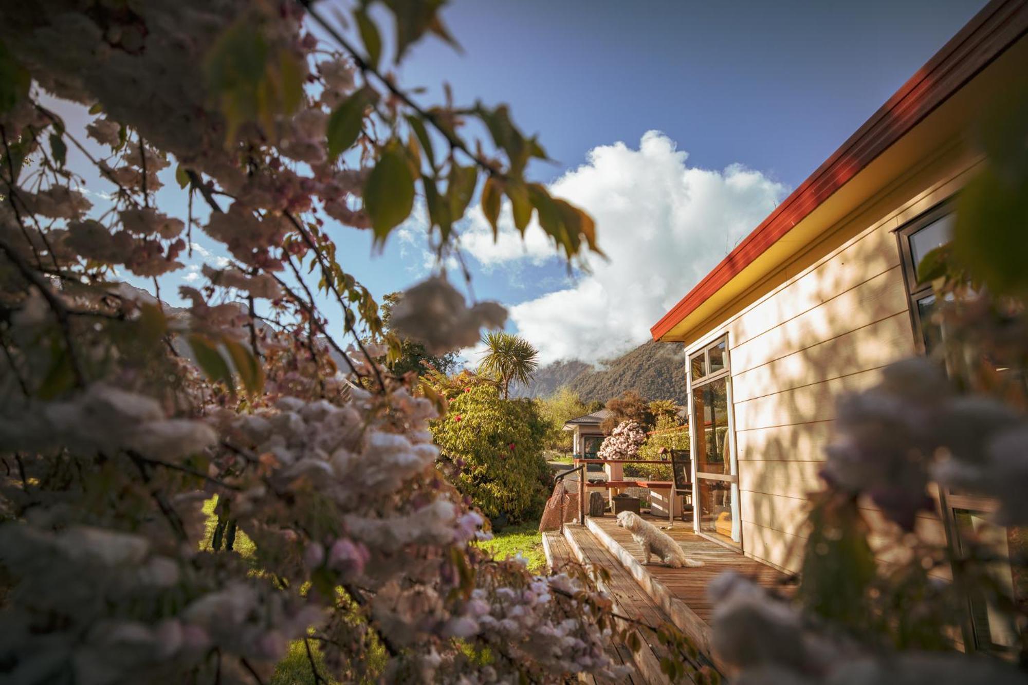 Ropatinis Bed & Breakfast Fox Glacier Exterior photo